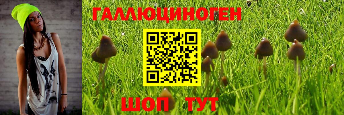 Галлюциногенные грибы Psilocybine cubensis  Вход с VPN  Воскресенск  Галлюциногенные грибы мухоморы 